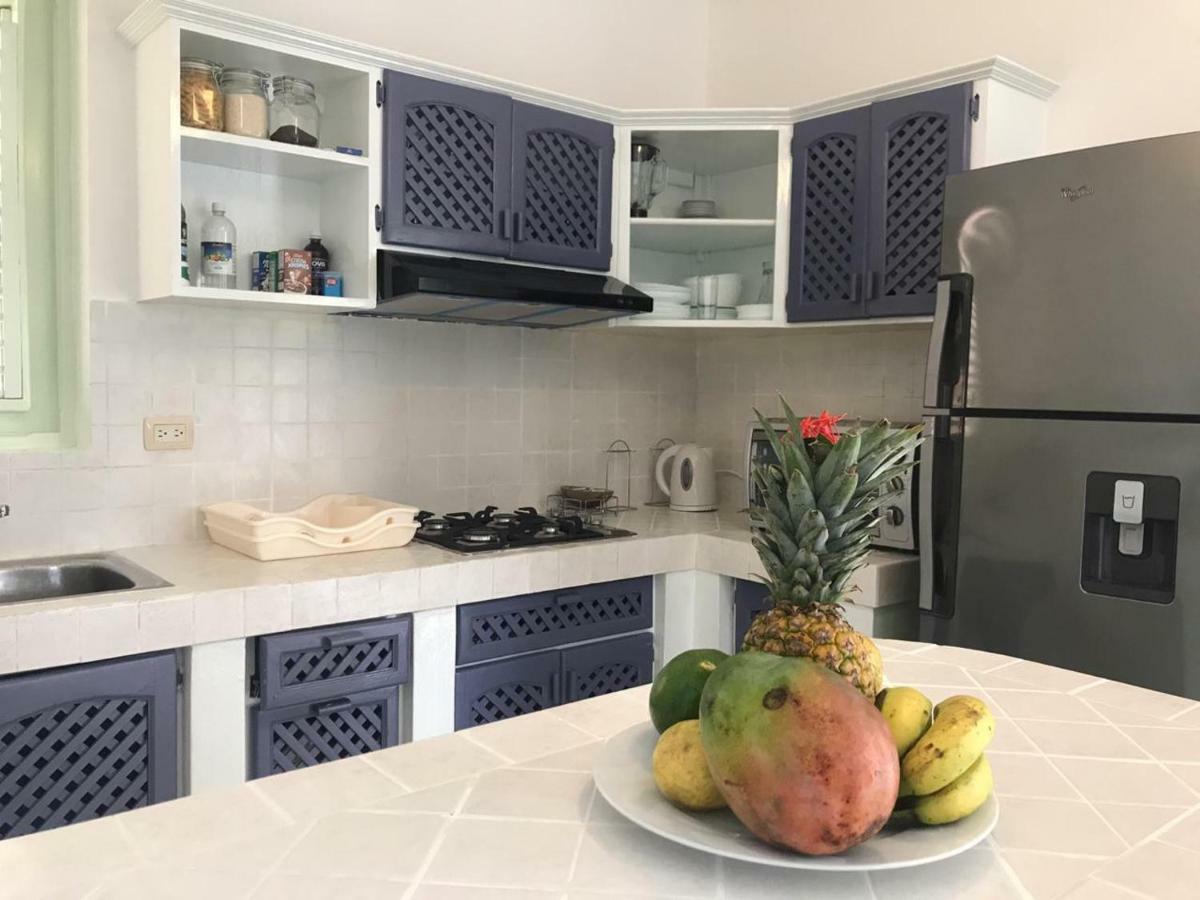 Little Paradise In Middle Of Beautiful Beaches! Las Terrenas Eksteriør billede
